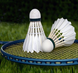 Badminton